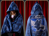 Ravenclaw